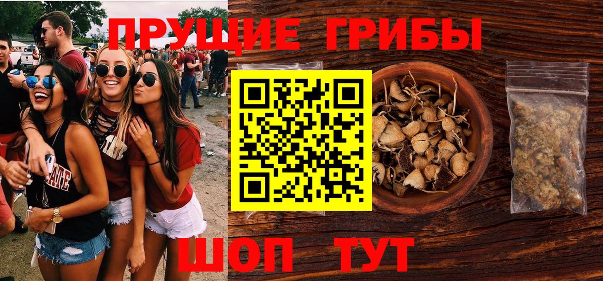 Архангельск  Псилоцибиновые грибы Psilocybe  Вход с VPN 